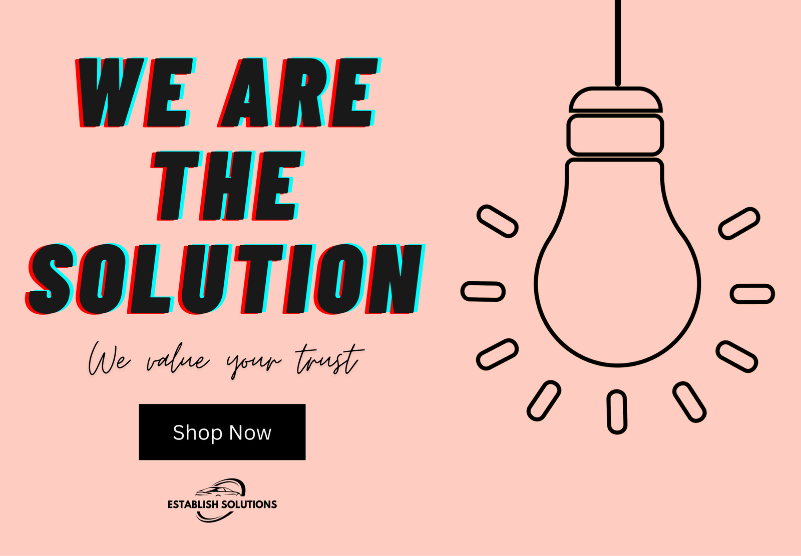 Establish Solutions - We are the Solution